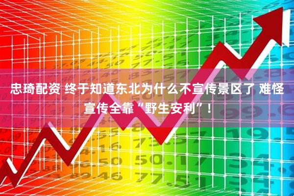 忠琦配资 终于知道东北为什么不宣传景区了 难怪宣传全靠“野生安利”！