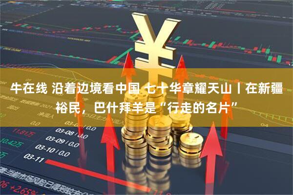 牛在线 沿着边境看中国 七十华章耀天山丨在新疆裕民，巴什拜羊是“行走的名片”