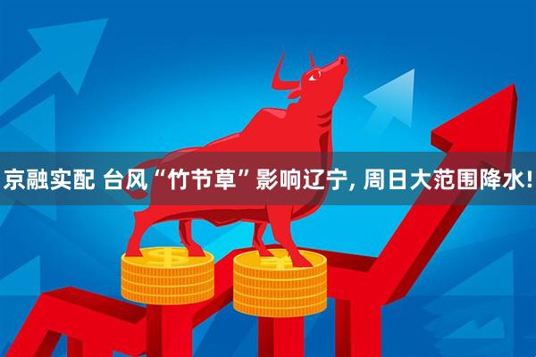 京融实配 台风“竹节草”影响辽宁, 周日大范围降水!