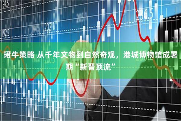 珺牛策略 从千年文物到自然奇观，港城博物馆成暑期“新晋顶流”