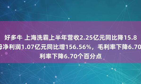 好多牛 上海洗霸上半年营收2.25亿元同比降15.85%，归母净利润1.07亿元同比增156.56%，毛利率下降6.70个百分点