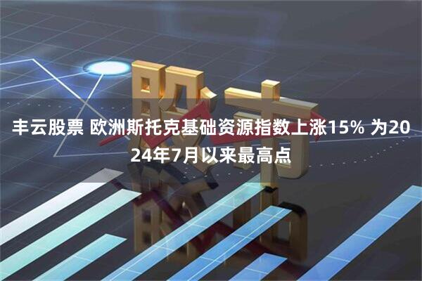 丰云股票 欧洲斯托克基础资源指数上涨15% 为2024年7月以来最高点