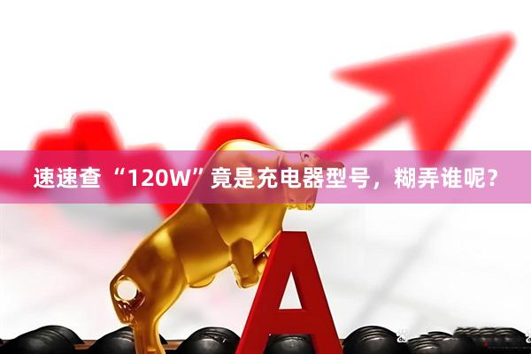 速速查 “120W”竟是充电器型号，糊弄谁呢？